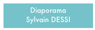 Diaporama 
Sylvain DESSI